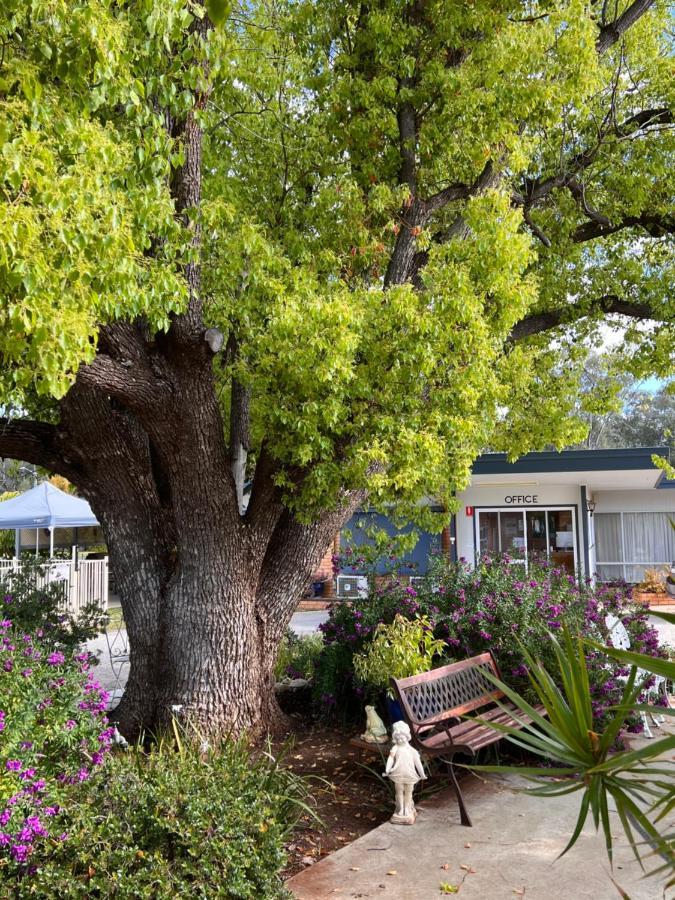 Sturt Motel Balranald Exterior foto